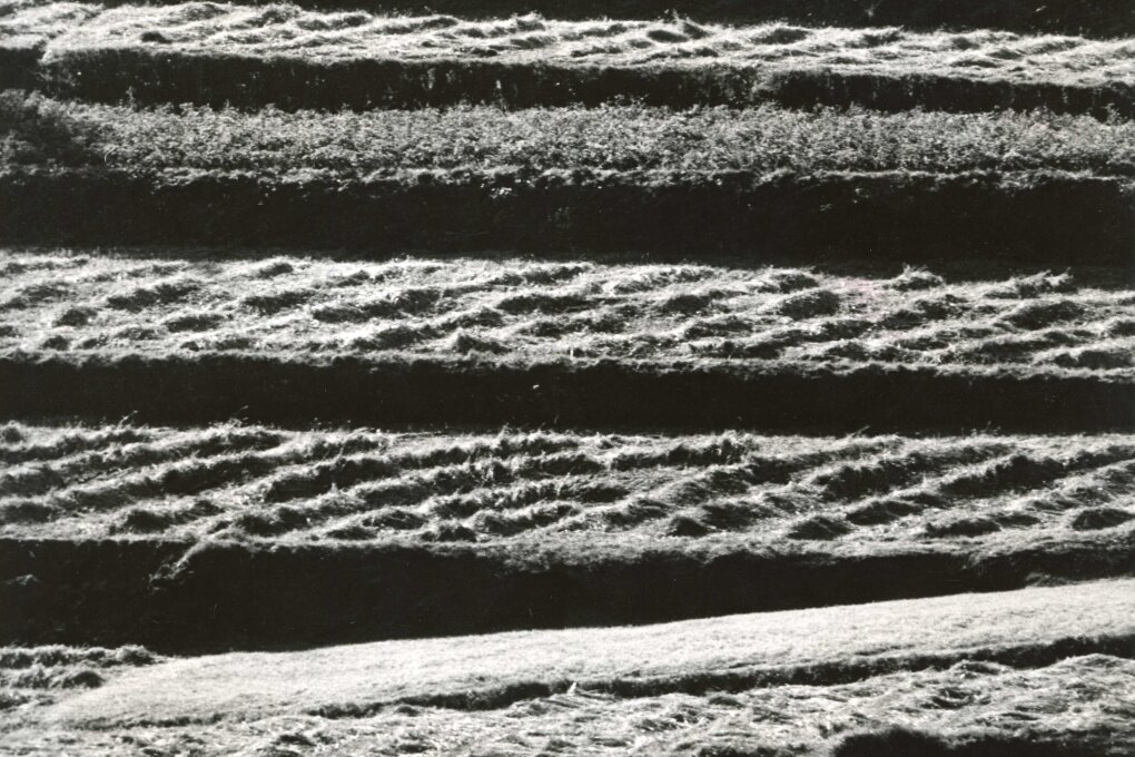 Martin Martinček – fotografie